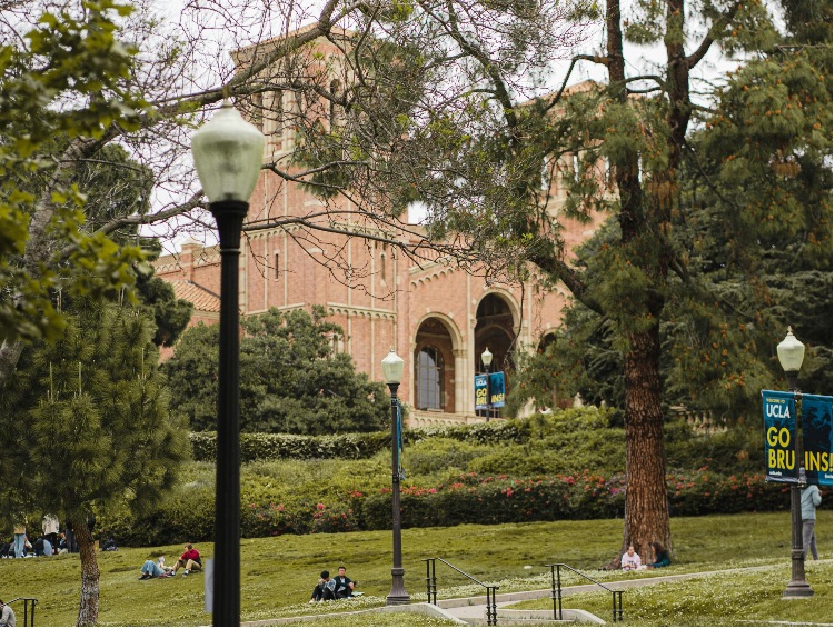 Park in UCLA campus (Source: pexels.com)