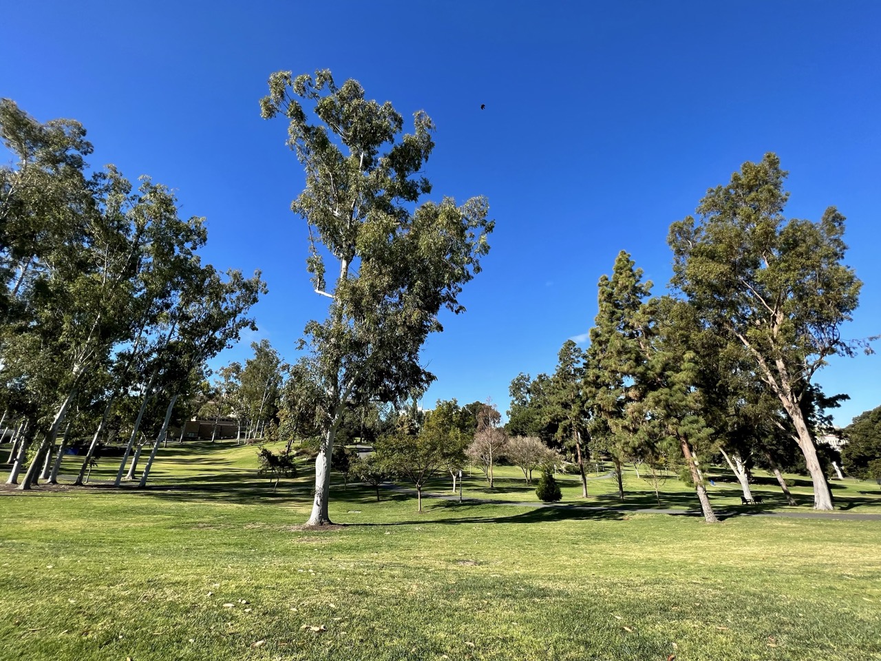 Best Neighborhoods in Irvine A Guide to Top Living Spots